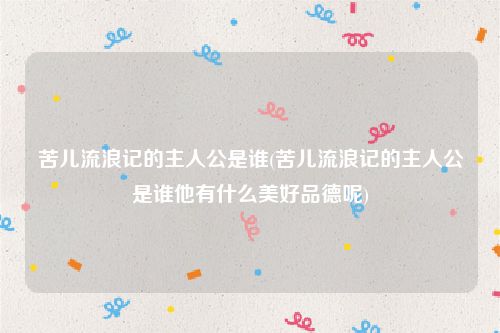 苦儿流浪记的主人公是谁(苦儿流浪记的主人公是谁他有什么美好品德呢)