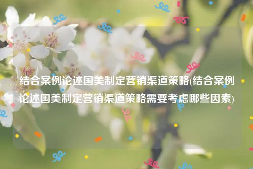 结合案例论述国美制定营销渠道策略(结合案例论述国美制定营销渠道策略需要考虑哪些因素)