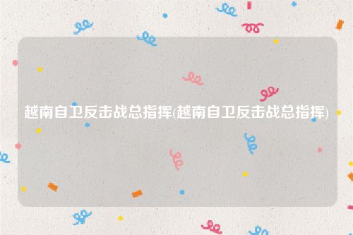 越南自卫反击战总指挥(越南自卫反击战总指挥)