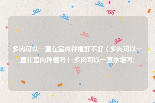 多肉可以一直在室内种植好不好（多肉可以一直在室内种植吗）(多肉可以一直水培吗)