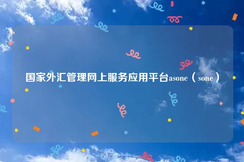 国家外汇管理网上服务应用平台asone（sone）
