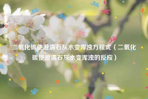 二氧化碳使澄清石灰水变浑浊方程式（二氧化碳使澄清石灰水变浑浊的反应）