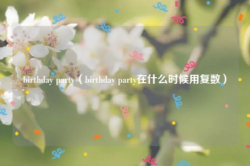 birthday party（birthday party在什么时候用复数）