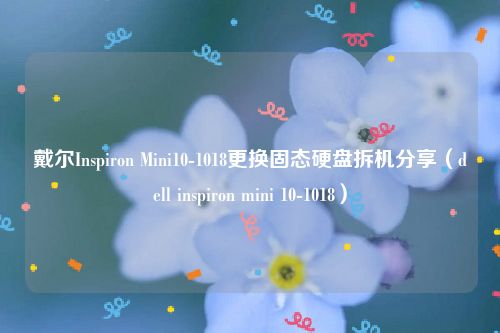 戴尔Inspiron Mini10-1018更换固态硬盘拆机分享（dell inspiron mini 10-1018）