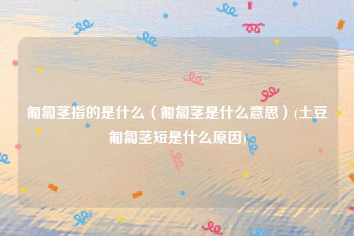 匍匐茎指的是什么（匍匐茎是什么意思）(土豆匍匐茎短是什么原因)