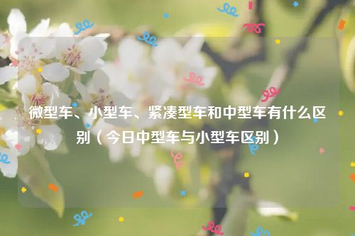 微型车、小型车、紧凑型车和中型车有什么区别（今日中型车与小型车区别）