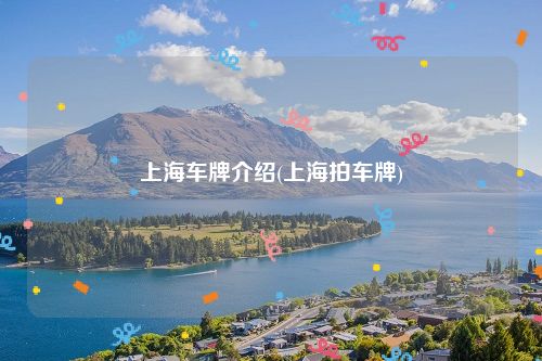 上海车牌介绍(上海拍车牌)
