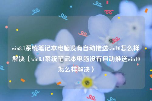 win8.1系统笔记本电脑没有自动推送win10怎么样解决（win8.1系统笔记本电脑没有自动推送win10怎么样解决）