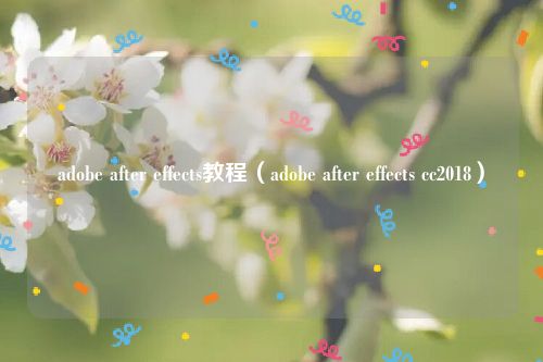 adobe after effects教程（adobe after effects cc2018）