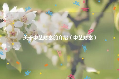 关于中艺财富的介绍（中艺财富）