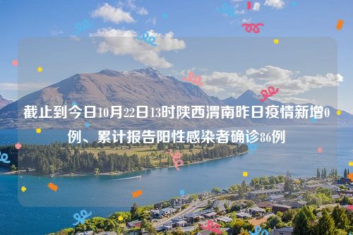 截止到今日10月22日13时陕西渭南昨日疫情新增0例、累计报告阳性感染者确诊86例