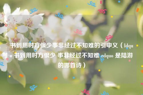 书到用时方恨少事非经过不知难的引申义（ldquo 书到用时方恨少 事非经过不知难 rdquo 是陆游的哪首诗）
