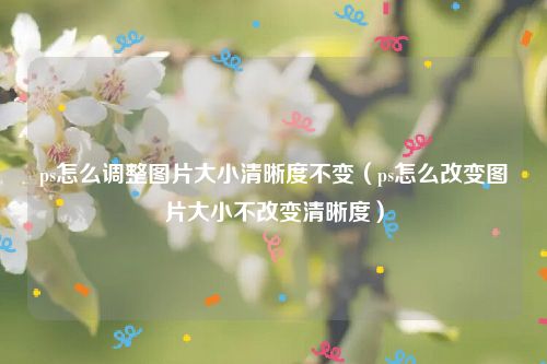 ps怎么调整图片大小清晰度不变（ps怎么改变图片大小不改变清晰度）