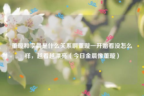 董璇和李晨是什么关系啊董璇一开始看没怎么样，越看越漂亮（今日金晨像董璇）
