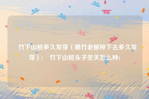 簕竹下山桩多久发芽（嘞竹老根种下去多久发芽）(簕竹下山桩头子冬天怎么种)