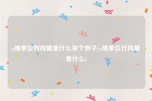 n维单位列向量是什么举个例子(n维单位行向量是什么)