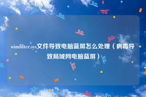wimfilter.sys文件导致电脑蓝屏怎么处理（病毒导致局域网电脑蓝屏）