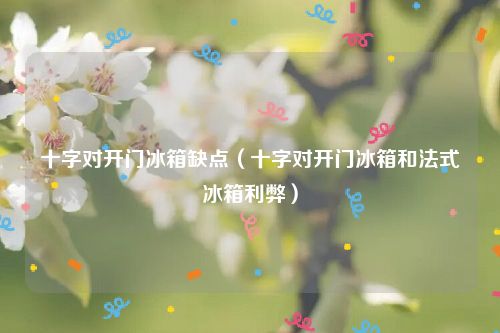 十字对开门冰箱缺点（十字对开门冰箱和法式冰箱利弊）