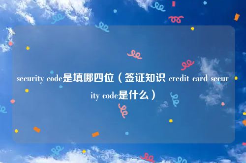 security code是填哪四位（签证知识 credit card security code是什么）