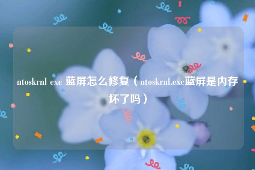 ntoskrnl exe 蓝屏怎么修复（ntoskrnl.exe蓝屏是内存坏了吗）