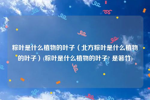 粽叶是什么植物的叶子（北方粽叶是什么植物的叶子）(粽叶是什么植物的叶子? 是箬竹)