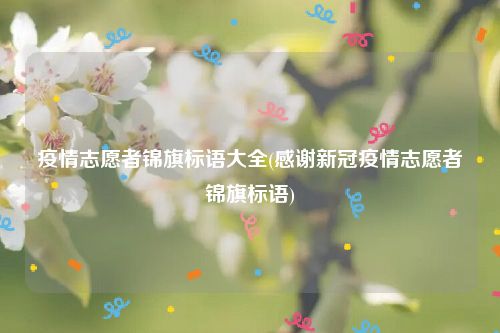 疫情志愿者锦旗标语大全(感谢新冠疫情志愿者锦旗标语)