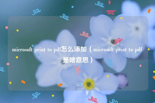 microsoft print to pdf怎么添加（microsoft print to pdf是啥意思）