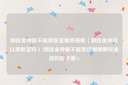 倒挂金钟能不能放卧室里养殖呢（倒挂金钟可以放卧室吗）(倒挂金钟能不能放进刚刚刷完油漆的屋子里?)