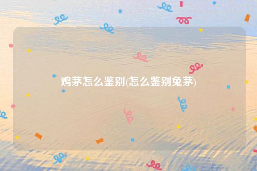鸡茅怎么鉴别(怎么鉴别兔茅)