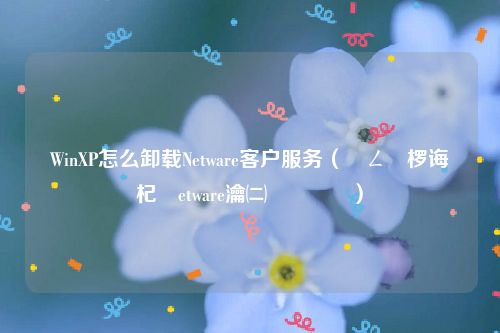 WinXP怎么卸载Netware客户服务（鎮ㄥ繀椤诲嵏杞絥etware瀹㈡埛鏈嶅姟）