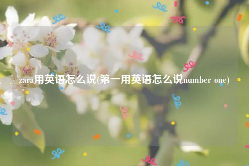 zara用英语怎么说(第一用英语怎么说number one)