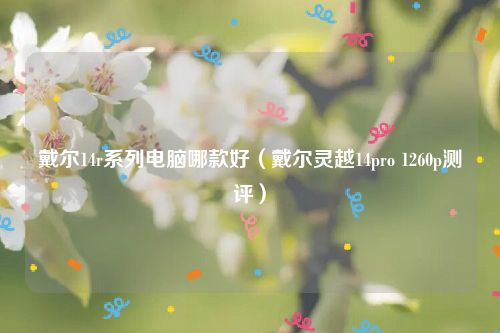 戴尔14r系列电脑哪款好（戴尔灵越14pro 1260p测评）