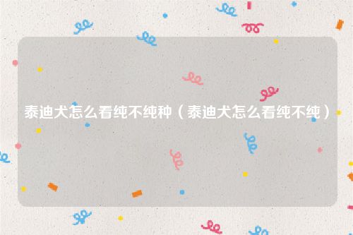 泰迪犬怎么看纯不纯种（泰迪犬怎么看纯不纯）