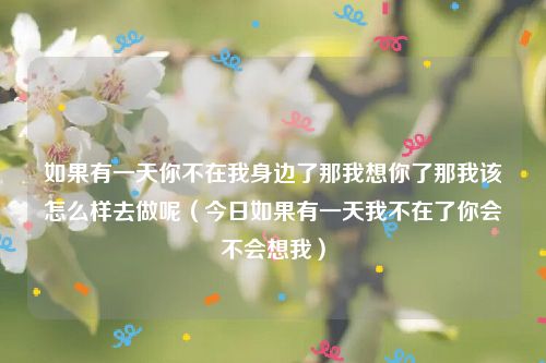 如果有一天你不在我身边了那我想你了那我该怎么样去做呢（今日如果有一天我不在了你会不会想我）