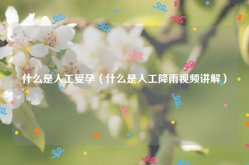 什么是人工受孕（什么是人工降雨视频讲解）