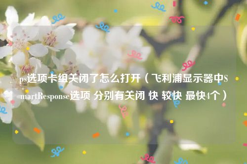 ps选项卡组关闭了怎么打开（飞利浦显示器中SmartResponse选项 分别有关闭 快 较快 最快4个）