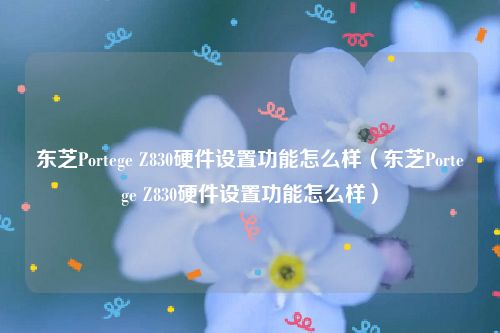 东芝Portege Z830硬件设置功能怎么样（东芝Portege Z830硬件设置功能怎么样）