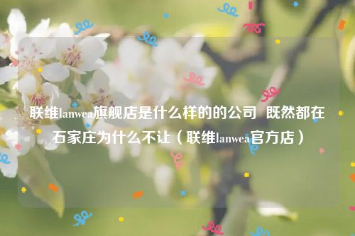 联维lanwea旗舰店是什么样的的公司  既然都在石家庄为什么不让（联维lanwea官方店）