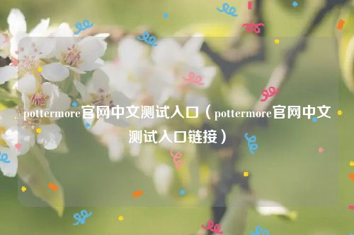 pottermore官网中文测试入口（pottermore官网中文测试入口链接）