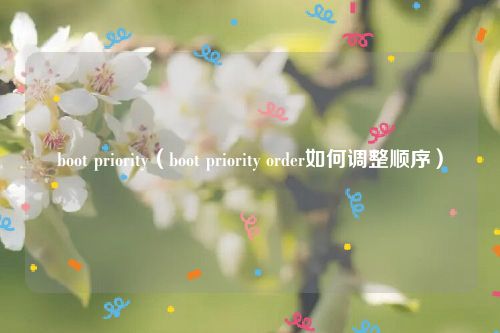 boot priority（boot priority order如何调整顺序）