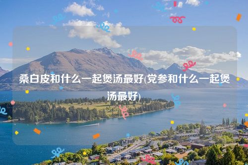 桑白皮和什么一起煲汤最好(党参和什么一起煲汤最好)