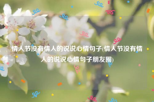 情人节没有情人的说说心情句子(情人节没有情人的说说心情句子朋友圈)
