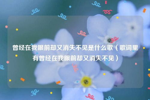 曾经在我眼前却又消失不见是什么歌（歌词里有曾经在我眼前却又消失不见）