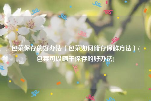 包菜保存的好办法（包菜如何储存保鲜方法）(包菜可以晒干保存的好办法)