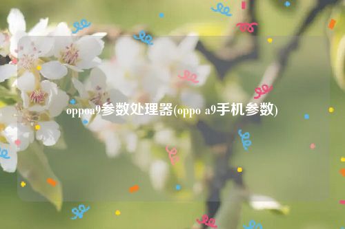 oppoa9参数处理器(oppo a9手机参数)