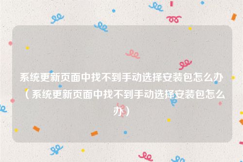 系统更新页面中找不到手动选择安装包怎么办（系统更新页面中找不到手动选择安装包怎么办）