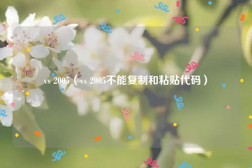 vs 2005（vs 2005不能复制和粘贴代码）