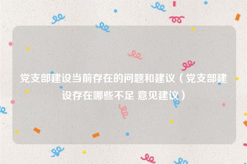 党支部建设当前存在的问题和建议（党支部建设存在哪些不足 意见建议）