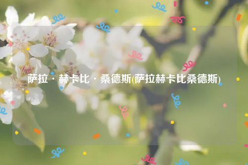 萨拉·赫卡比·桑德斯(萨拉赫卡比桑德斯)