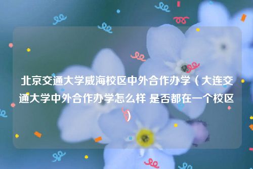 北京交通大学威海校区中外合作办学（大连交通大学中外合作办学怎么样 是否都在一个校区）